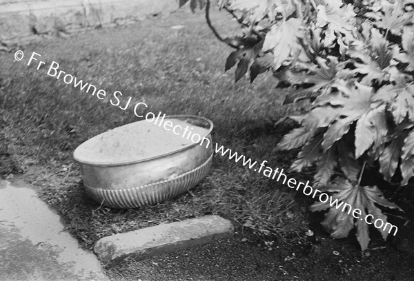 FLOWER POT AT MILLTOWN PARK